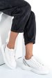 U.s. polo assn, pantofi sport white cardi008a